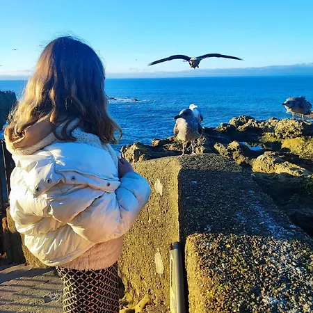 Pool Beache Villa Saint-Nazaire (Loire-Atlantique)