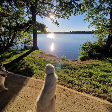 Pool Beache Villa Saint-Nazaire (Loire-Atlantique)