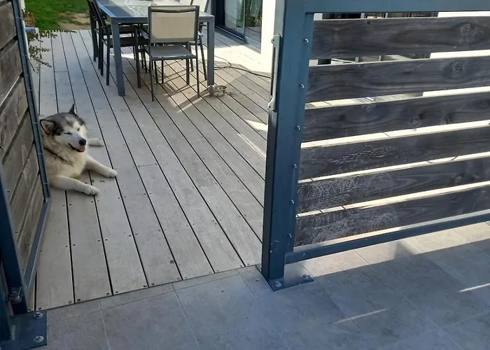 Pool Beache * Saint-Nazaire (Loire-Atlantique)