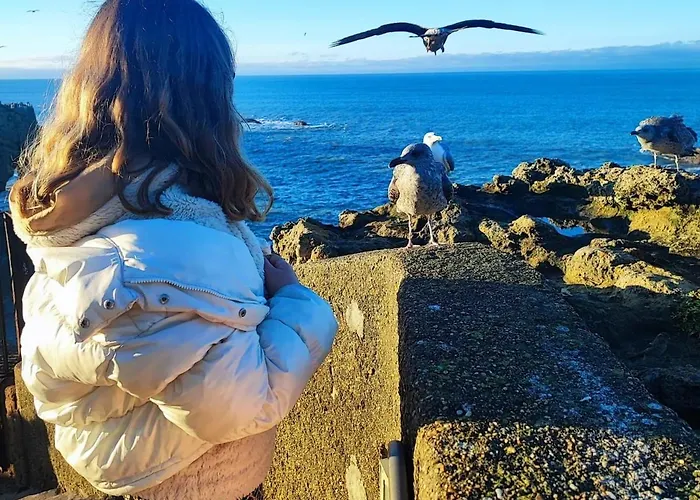 Pool Beache Villa Saint-Nazaire (Loire-Atlantique)