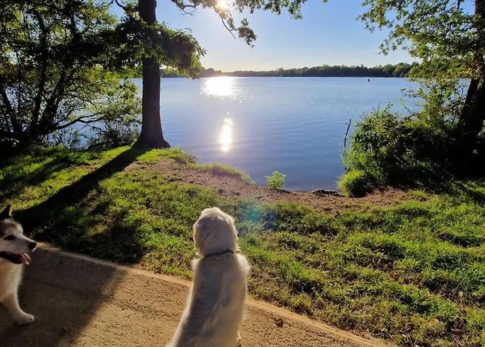 Pool Beache Villa Saint-Nazaire (Loire-Atlantique)